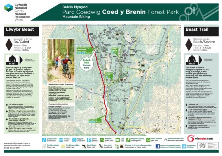 coed y brenin mtb postcode