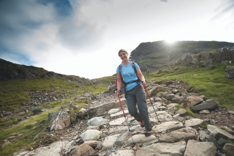 External Pedestrian Path Surfaces - Visitor Safety Group