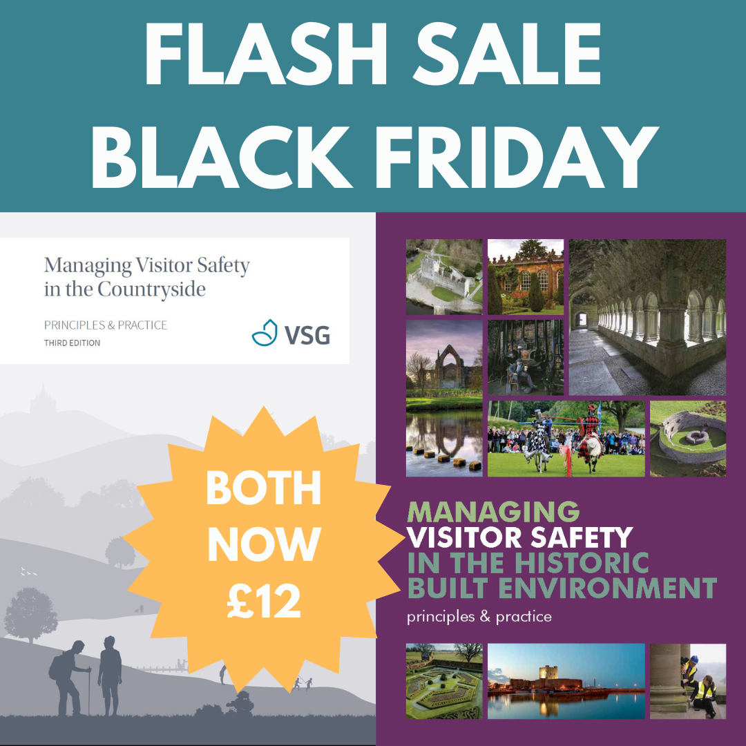 Image of two publications front covers and a flash sale star for Black friday.